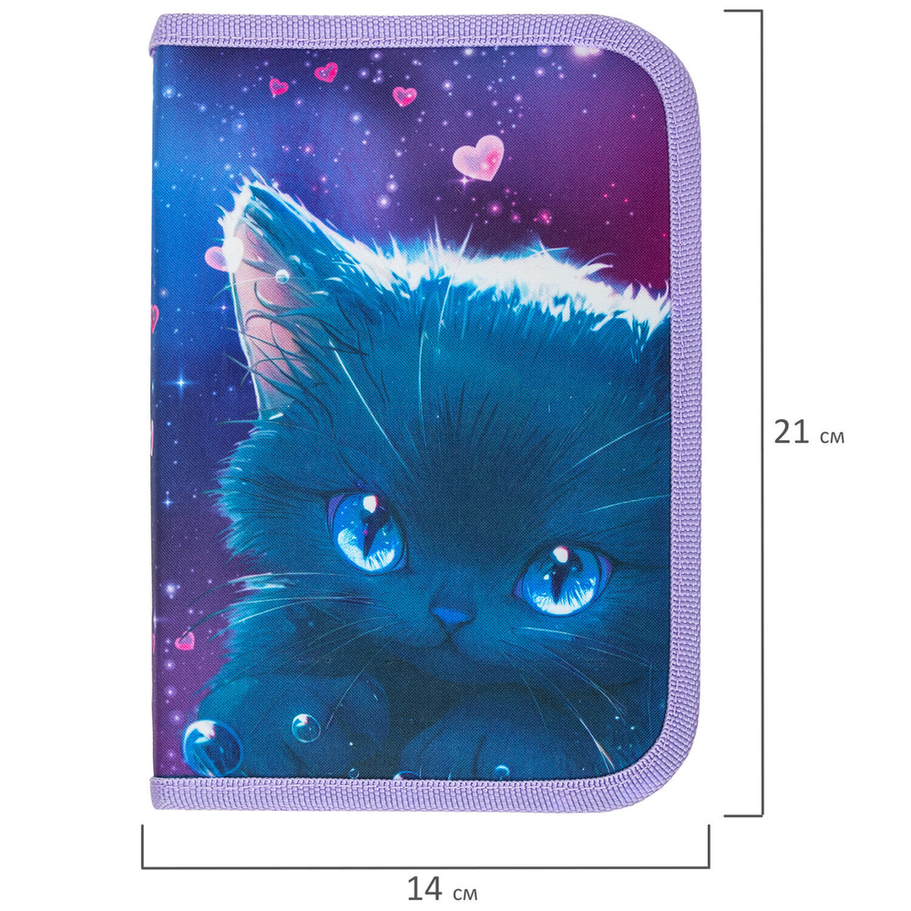 Пенал BRAUBERG 1 отделение 1 откидная планка полиэстер 21х14 см "Anime cat" (2 штуки в упаковке)