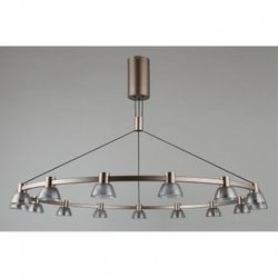 Подвесная люстра Aployt Rezeda APL.788.03.15