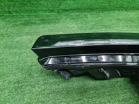 ДХО левый Hongqi E-HS9 (2020-н.в.)