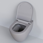 Унитаз Queen 113T20301R (570*360*400) СЕРЫЙ МАТОВЫЙ подвесной БЕЗОБОДКОВЫЙ, 1 место