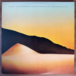 Виниловая пластинка Sérgio Mendes & Brasil '66 – Fool On The Hill LP