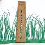 Перья страуса на ленте