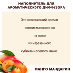 МАНДАРИН И МАНГО - Наполнитель для ароматического диффузора