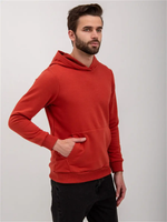 Худи мужское футер петля, Арт. 1037