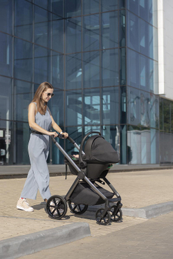 Коляска Carrello Vector 2025 CRL-6551 Nova DK791 Black Line 3 в 1 Golden Beige