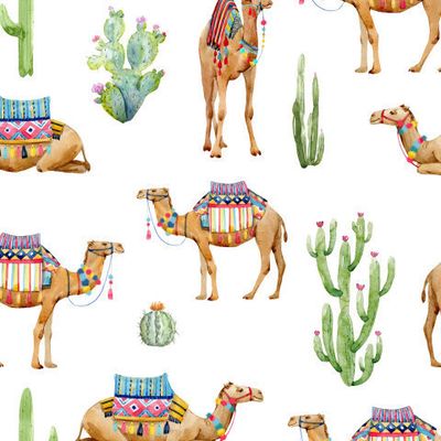 Верблюды и кактусы