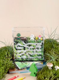 Муравьиная ферма "МОХ" с муравьями в подарок!