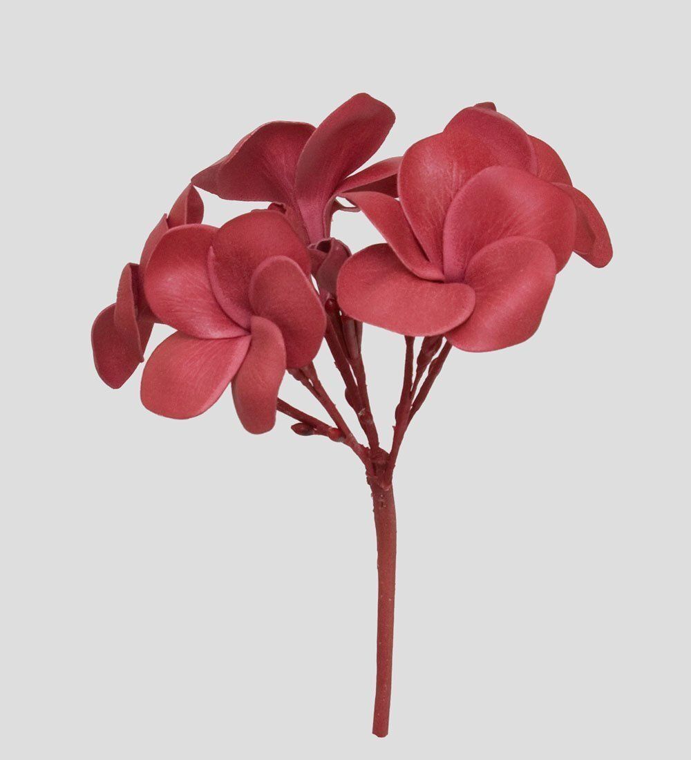 TR 614HM1 Плумерия 5 бутонов без листьев