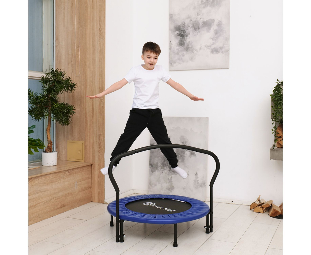 Батут с поручнем DFC JUMPFIT 36'' синий