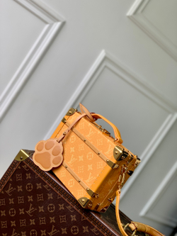 Louis Vuitton Handle Trunk