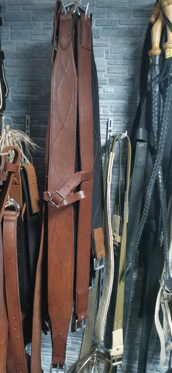 Подпруга передняя и задняя