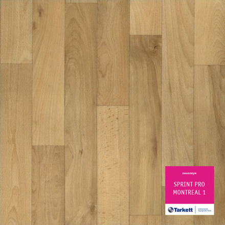 Линолеум Tarkett SPRINT PRO MONTREAL 1, Ширина рулона: нарезка