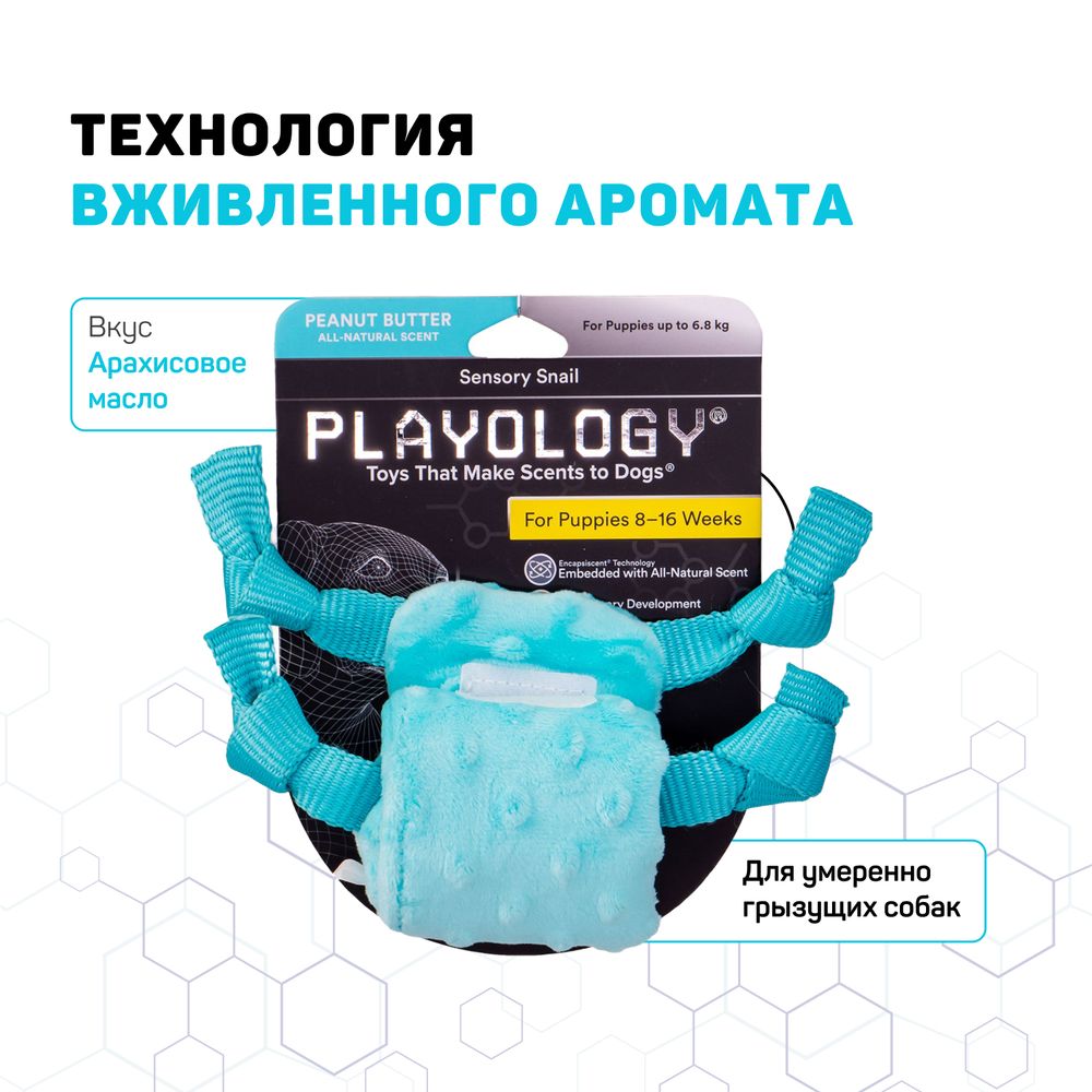 Сенсорная плюшевая улитка Playology PUPPY SENSORY SNAIL для щенков мелких и средних пород 8-16 недель с ароматом арахиса, цвет голубой Сенсорная плюшевая улитка Playology PUPPY SENSORY SNAIL для щенков мелких и средних пород 8-16 недель с ароматом арахиса, цвет голубой