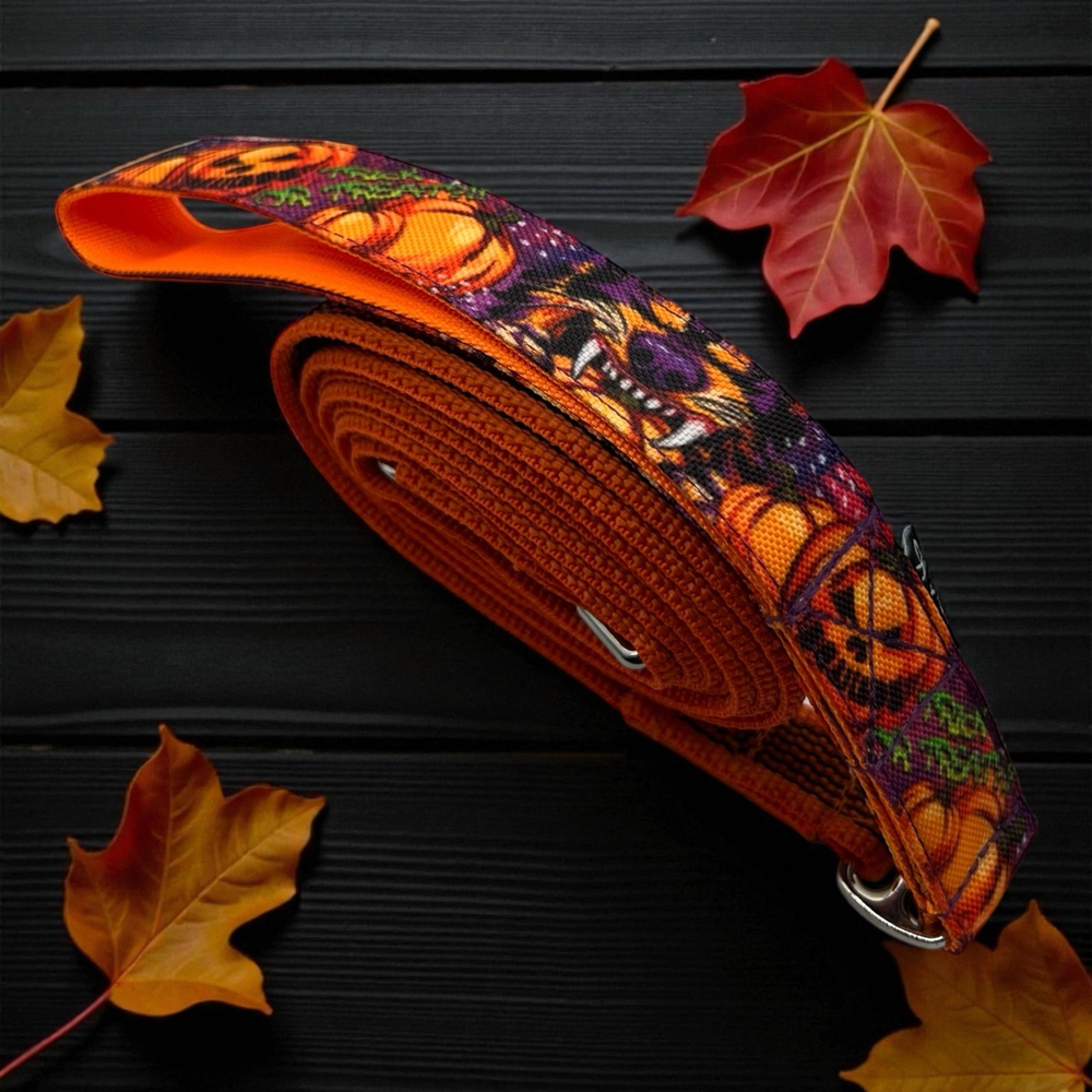 Шлейка Pawmpkin, наличие