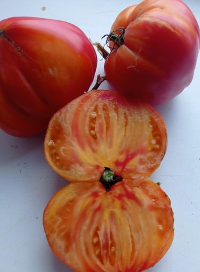 ЗОЛОТЫЕ ГОРЫ МЕДЕО