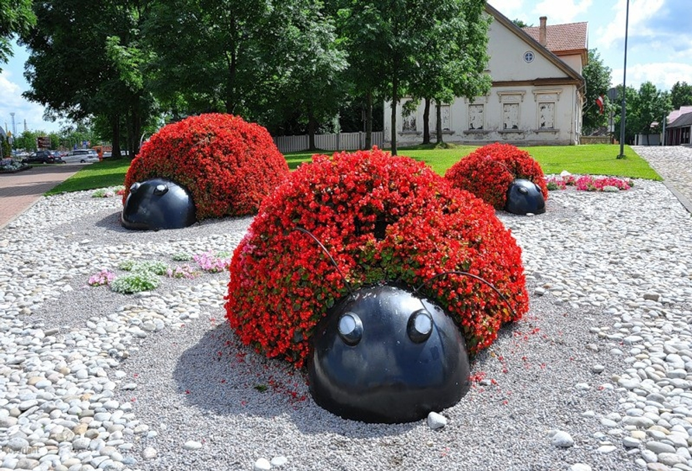 Топиарная фигура Божья коровка