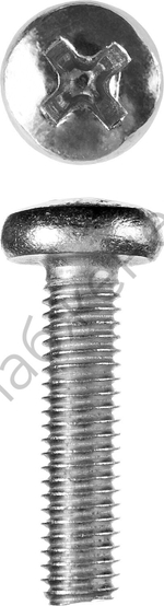 ЗУБР DIN 7985 M6 x 25 мм, кл. пр. 4.8, винт с полусферической головкой, цинк, 5 кг (303150-06-025)