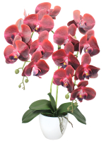 Искусственные Орхидеи бордовые 2 ветки 55см в кашпо