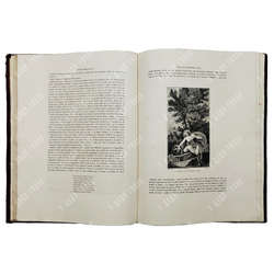 История художников всех школ. Испанская школа. Париж: Vve J. Renouard, 1869.