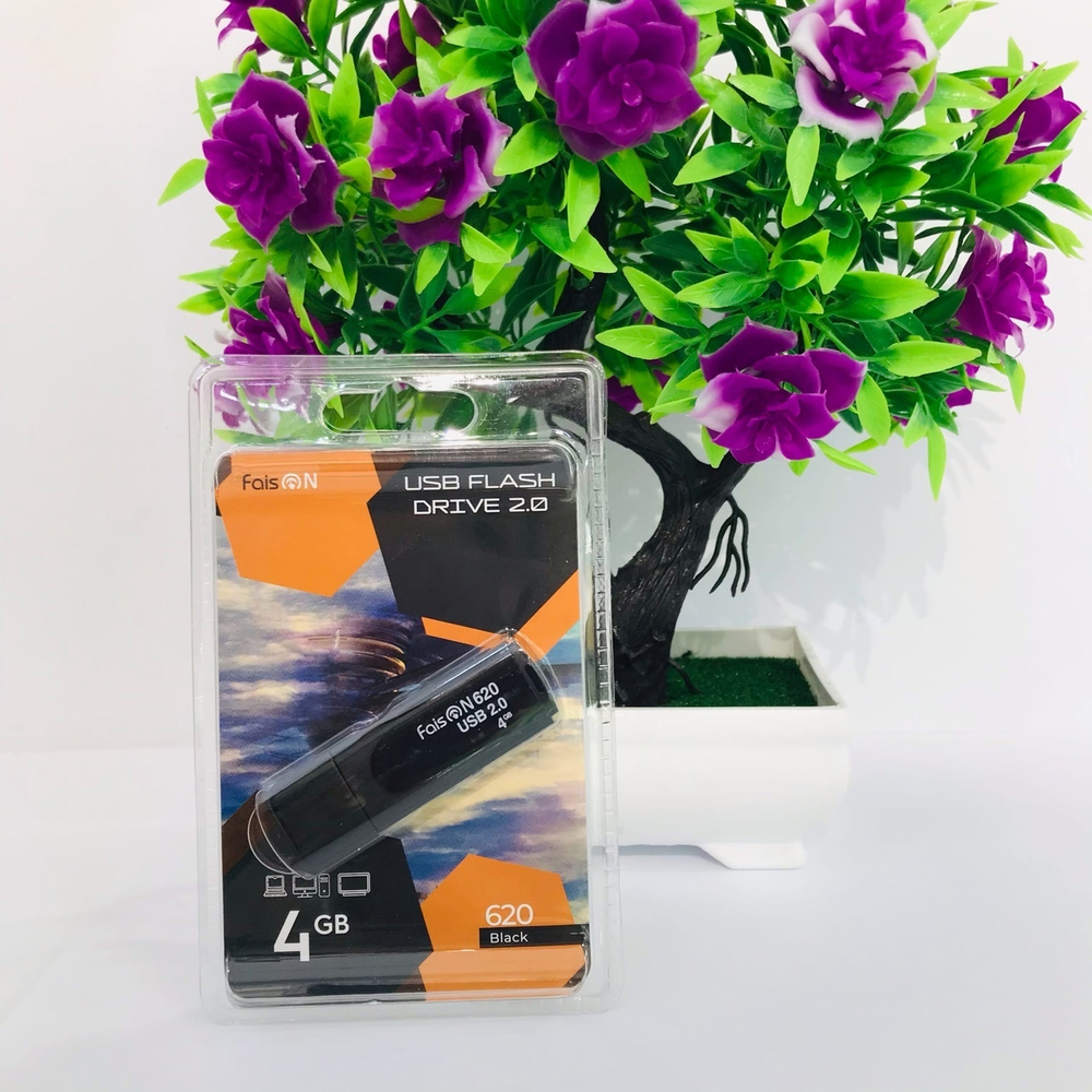 USB Флешка 4GB Faison 620, USB 2.0, черная