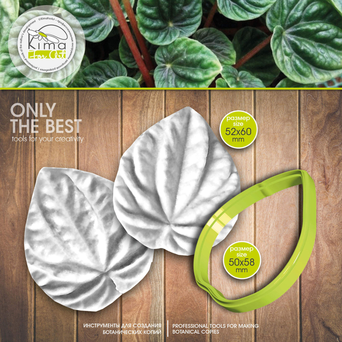 Пеперомия лист большой