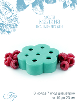 Молд малина полые ягоды