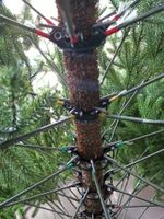 Ель искусственная «Флоренция» (Литая хвоя) от 1,8 м до 2,4 м