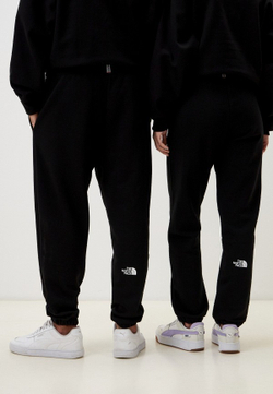 Брюки спортивные мужские THE NORTH FACE U AXYS JOGGER