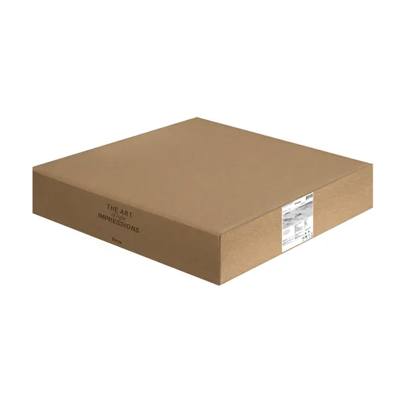 Потолочный светильник FR10011CL-L24W Элементы 24 Вт LED Freya fr10011cl-l24w