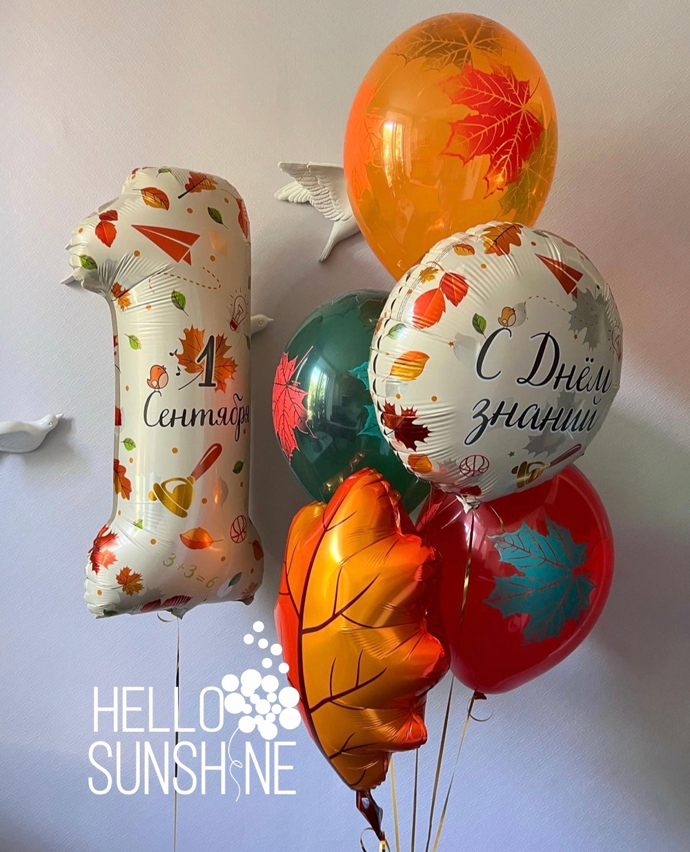 Набор шаров на 1 сентября №11