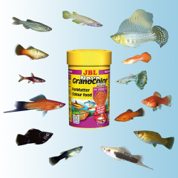 JBL NovoGranoColor mini 100 мл - корм для рыб для усиления окраса (мелкие гранулы)
