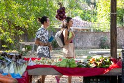 Термокружка Klean Kanteen TKWide Twist Cap 20oz (592 мл) Shadow Lime