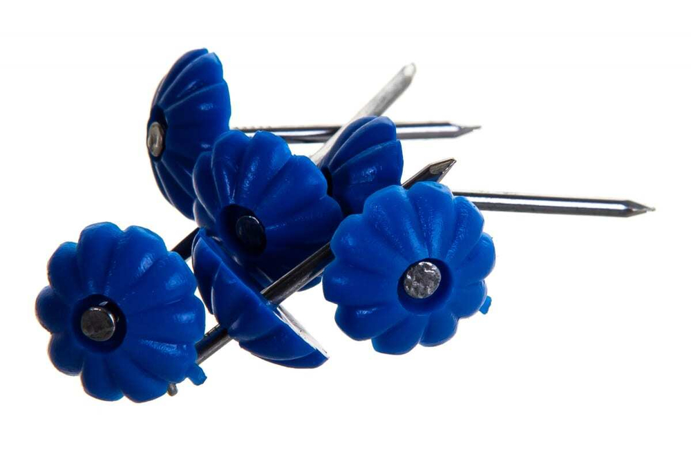 ГВОЗДИ ДЕКОР. СТРОЙБАТ С ПЛАСТ.ГОЛОВКОЙ (СИНИЙ 80 ШТ)