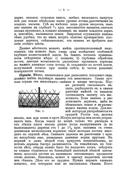 Питомник, плодовый сад, огород и цветник | Сумский Владимир Владимирович