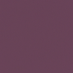 Велюр Blitz / Блитц