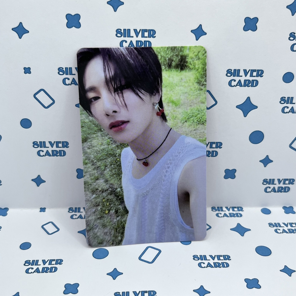 Фотокарта STRAY KIDS - MAXIDENT (T-CRUSH ver. | I.N)