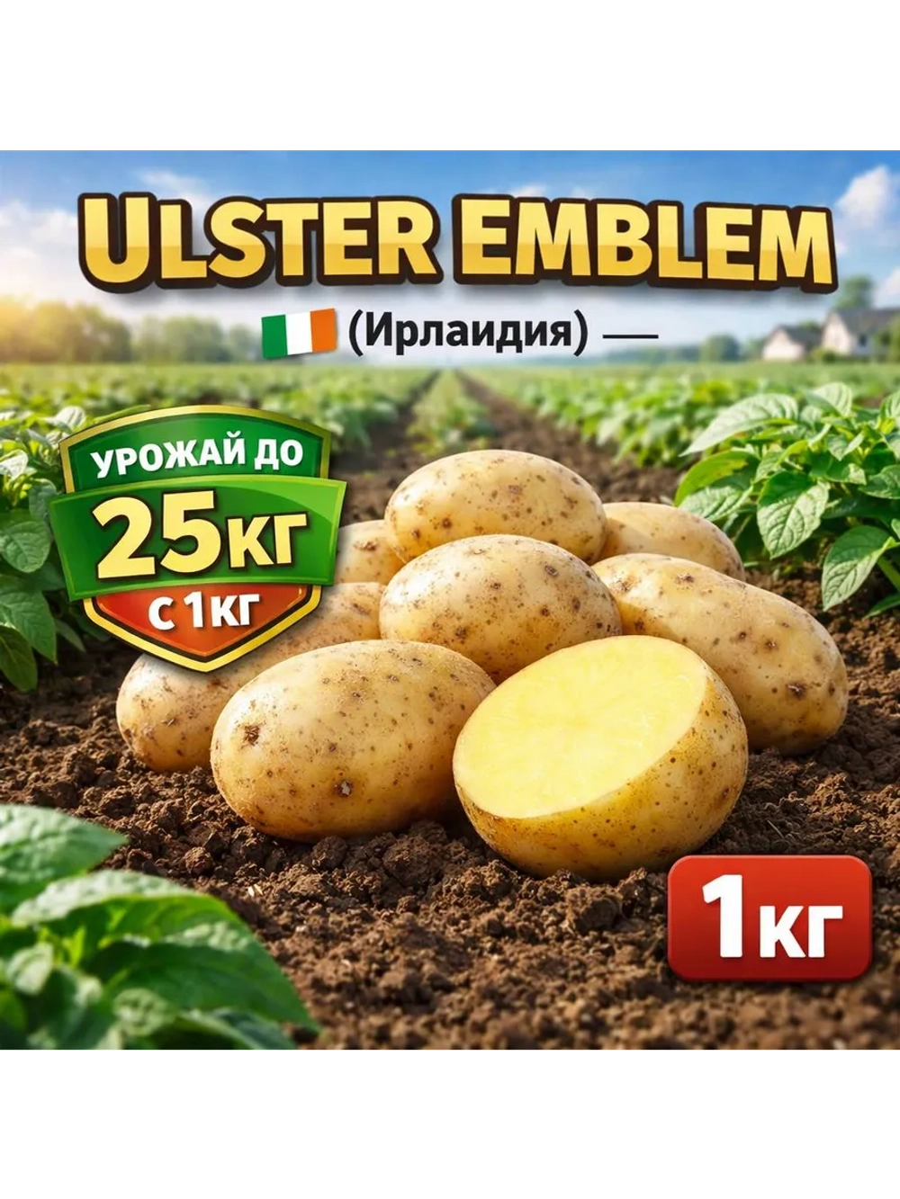 Картофель семенной Альстер Эмблем Ирландия