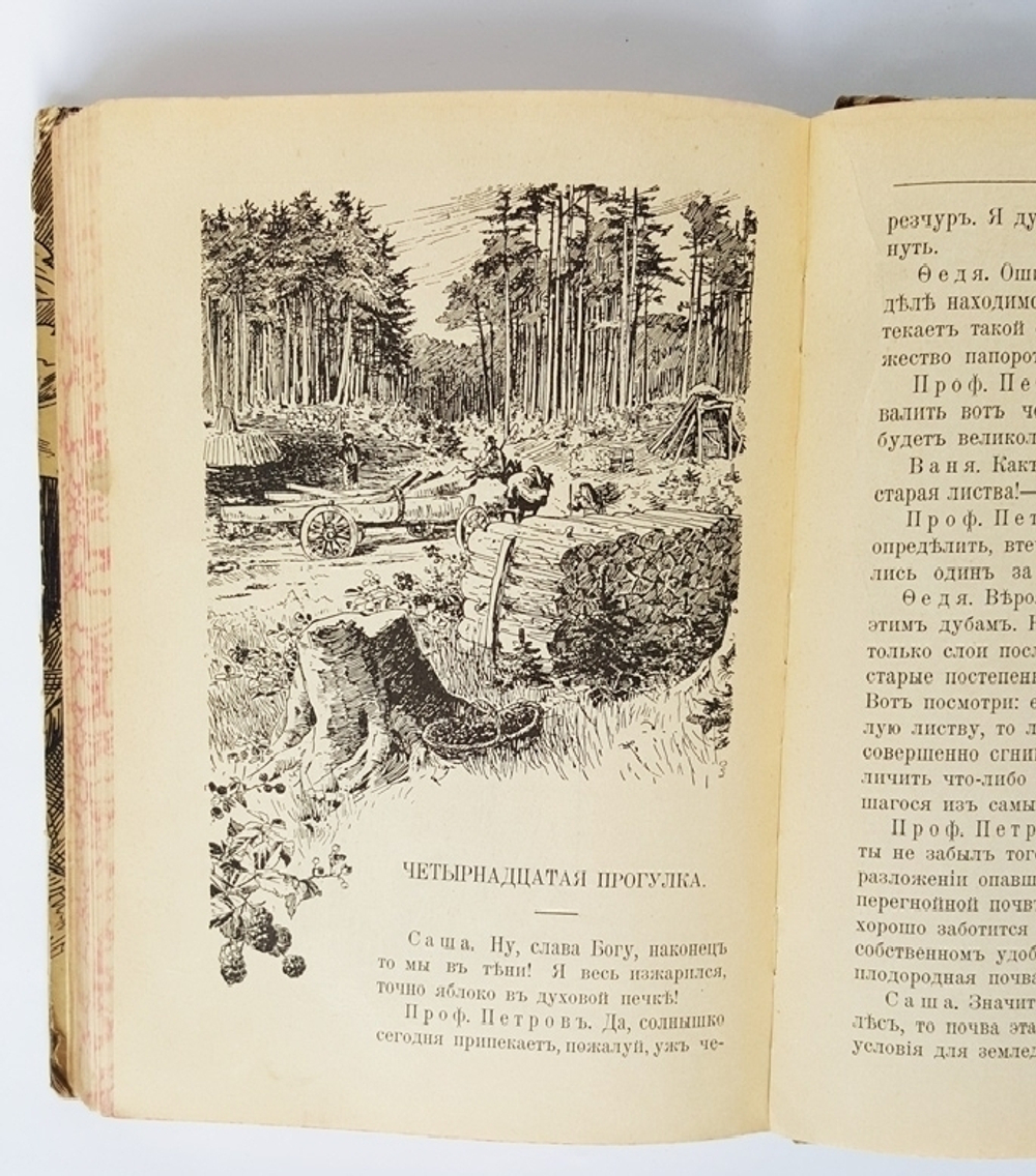 "Природа в лесу и поле". К. Крепелин. 1903г. - антикварное издание