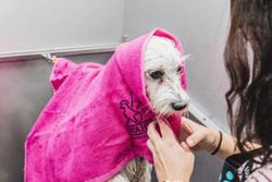 Полотенце для животных Wahl (0093-5980)