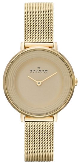 Наручные часы Skagen SKW2212