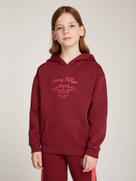 Худые Tommy Hilfiger - бордовый(KG0KG08190)