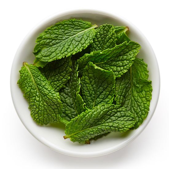 Laros Beauty Тонизирующий шампунь Tea Tree Shampoo, 30 мл