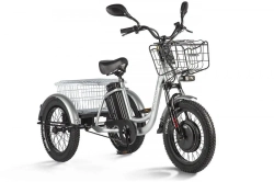 Электротрицикл Eltreco Porter Fat 500