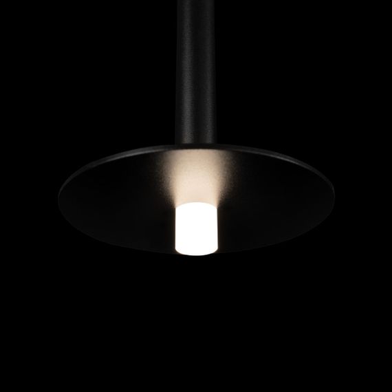 Подвесной светодиодный светильник Loft IT Reed 10358/830 Disk