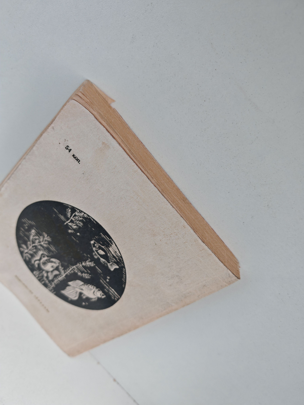 Кольцо царя Соломона