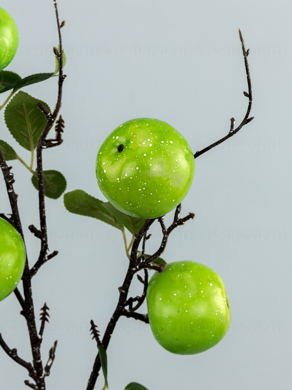 Ветка с яблоками зелеными