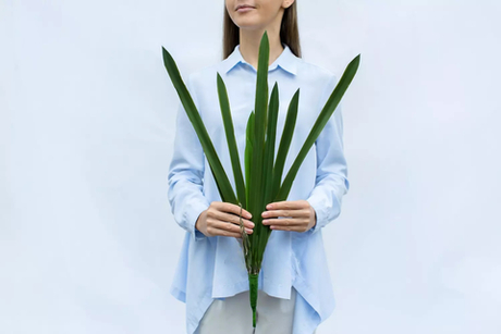 Куст из 12 листьев высокий