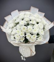 Новинки