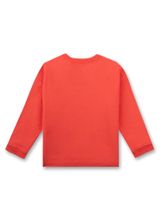 Толстовка Sanetta Kidswear 126392 38202