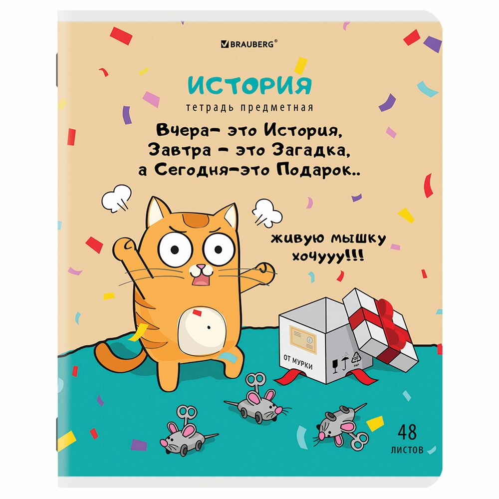 Тетрадь предметная "КОТ-ЭНТУЗИАСТ" 48 л., TWIN-лак, ИСТОРИЯ, клетка, подсказ, BRAUBERG, 404563